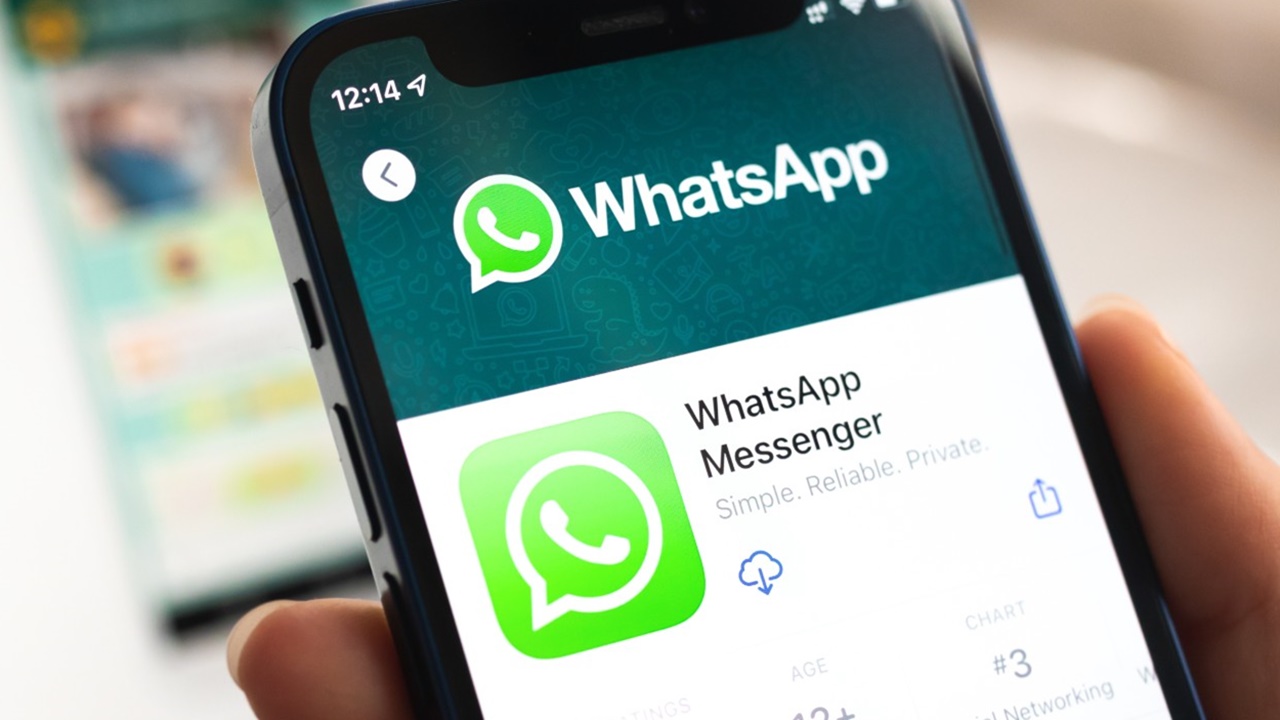 WhatsApp'taki hash işaretleri: tek, çift ve mavi tikler ne anlama geliyor?